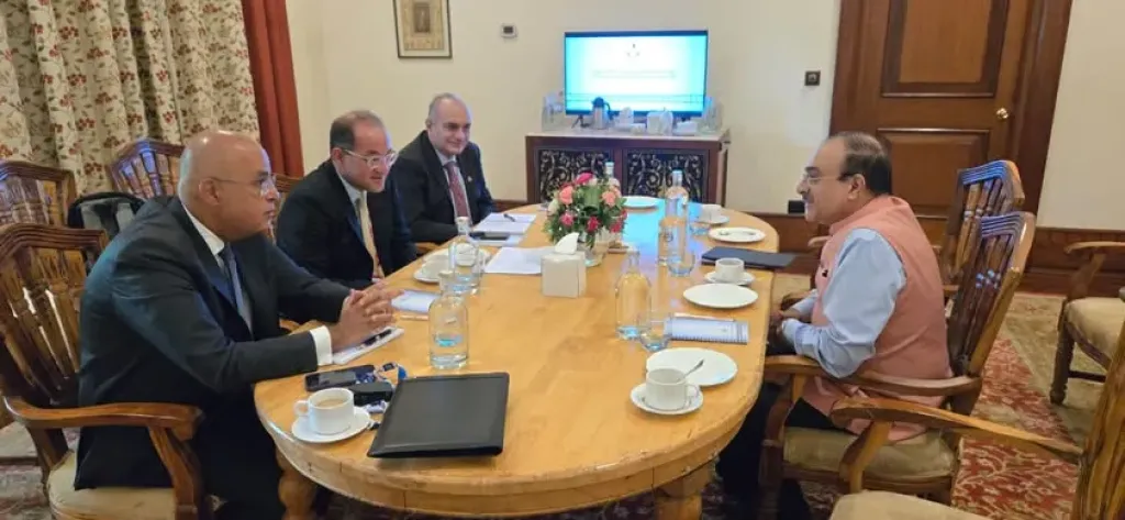 وزير المالية: حريصون على جذب المزيد من الاستثمارات الأجنبية لدعم التنمية