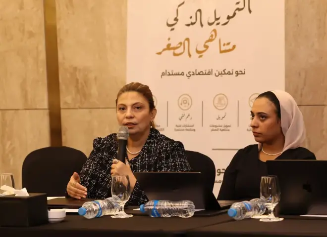 صندوق دعم الصناعات الريفية ينظم ورشة عمل للتمويل متناهى الصغر للجمعيات