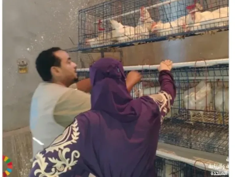 شراكة بين ”الفاو” و”اليونيسف” لمواجهة التقزم وسوء التغذية بكفر الشيخ