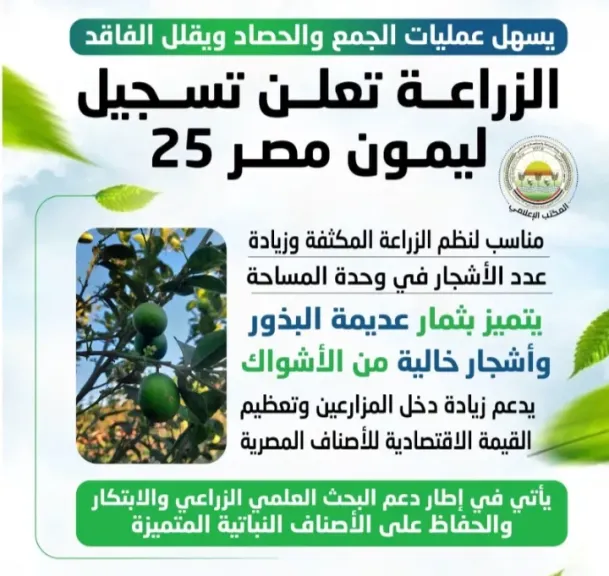إنجاز زراعي جديد .. وزارة الزراعة تُسجل ”ليمون مصر 25” خاليًا من البذور والأشواك
