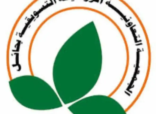 الجمعية التعاونية الزراعية التسويقية بحائل تعلن عن بدء إنطلاق موسم حصاد الزيتون
