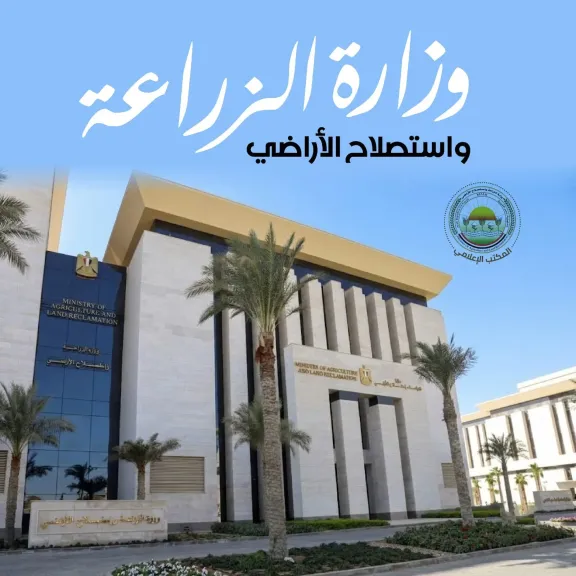 الزراعة” تُطلق برنامجًا تدريبيًا حول ”الذكاء الاصطناعي واستخداماته في البرامج المكتبية” لرفع كفاءة العاملين